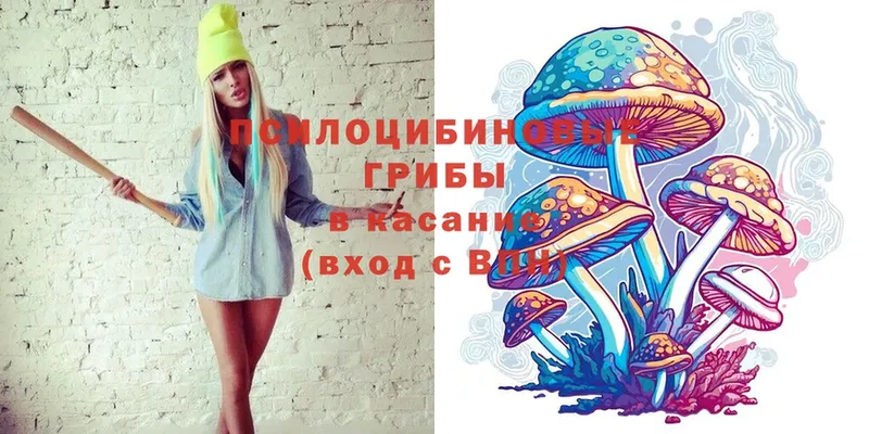 Галлюциногенные грибы Magic Shrooms  Нелидово 